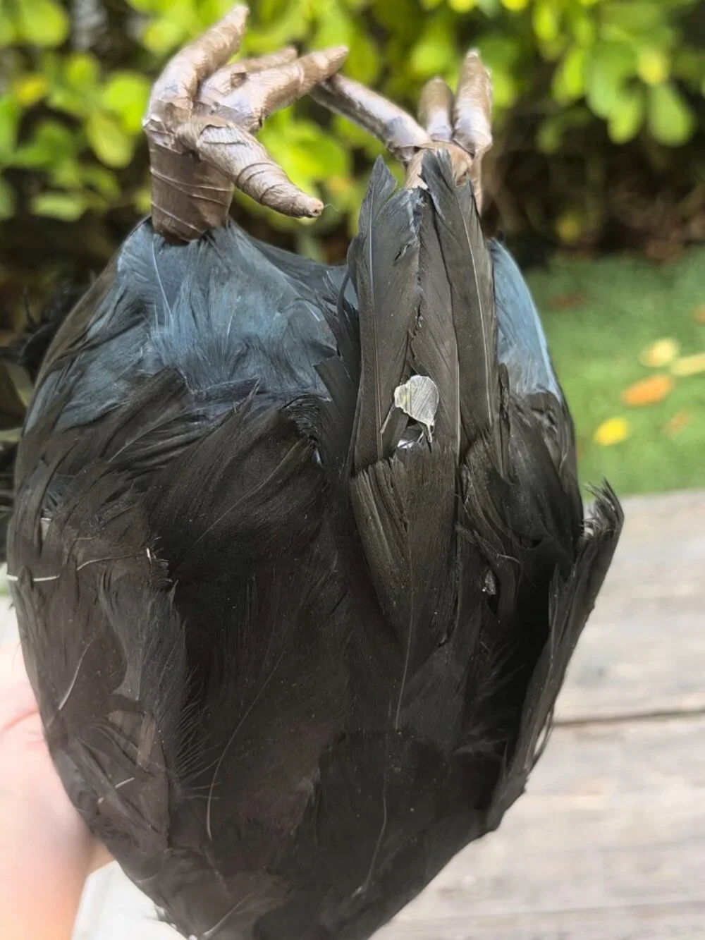 Vintage Paper Mache Primitive Halloween Vulture Sitter Fall Bird Buzzard Spooky